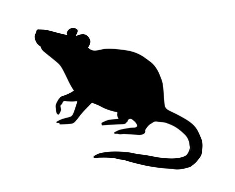 Rat silhouette .